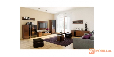 Мебель в гостиную в современном стиле VIGO
