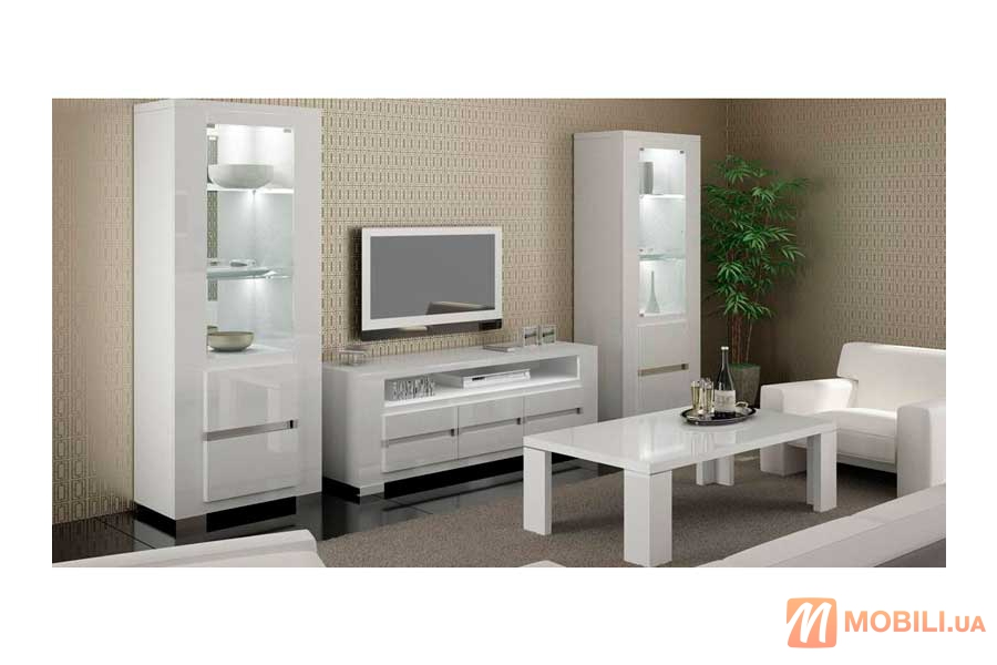 Комплект мебели в гостиную комнату, современный стиль ELEGANCE WHITE