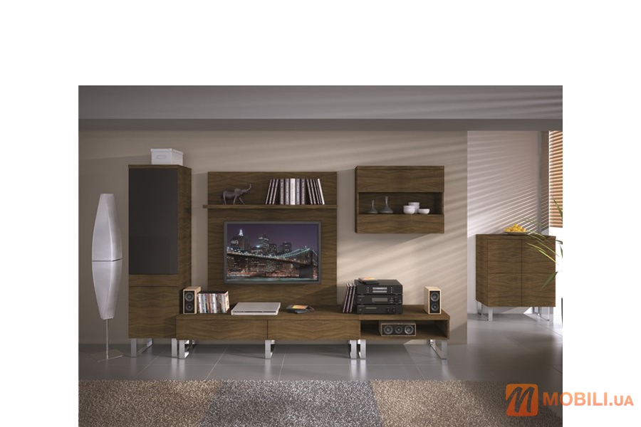 Комплект мебели в гостиную, выполненный из дерева, современный стиль FAMEG