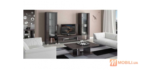 Комплект мебели в гостиную комнату, современный стиль SARAH GREY BIRCH
