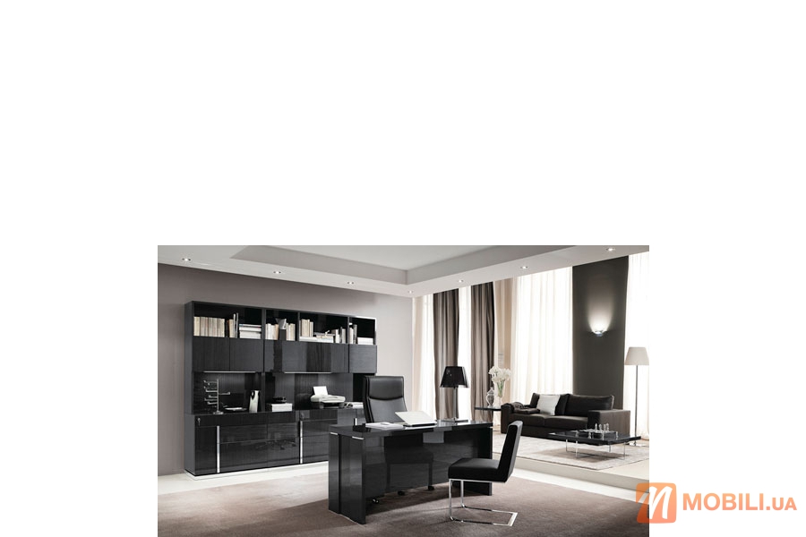 Мебель в кабинет, современный стиль MONTECARLO
