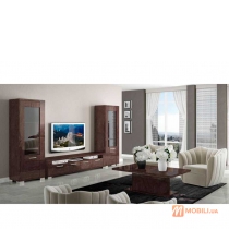 Комплект мебели в гостиную, современный стиль PRESTIGE UMBER BIRCH
