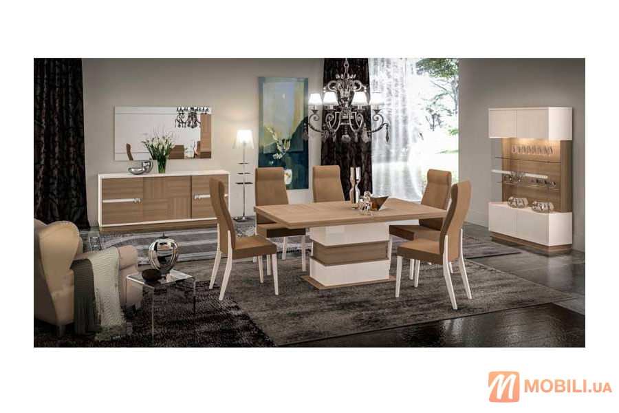 Комплект мебели в столовую комнату, современный стиль EVOLUTION